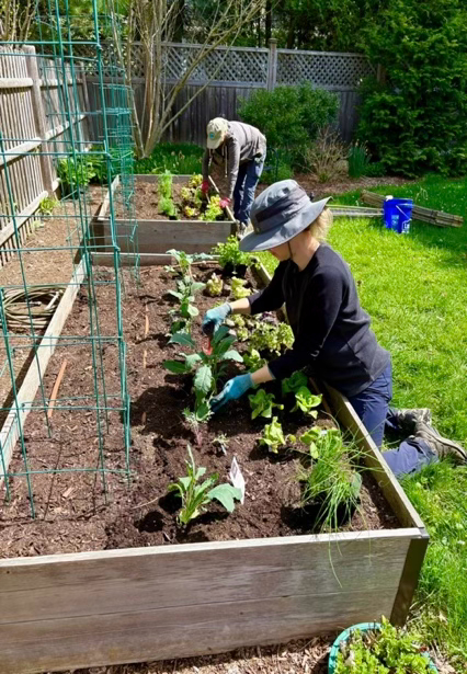 Tending food crops by hand allows close observation of plant health.