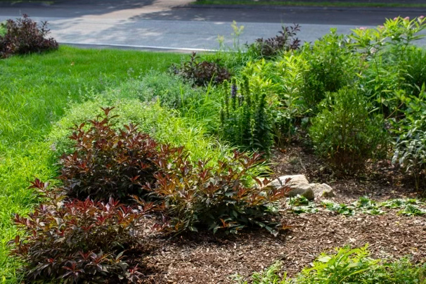 cut-flower-garden