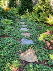 gardens designed for earth