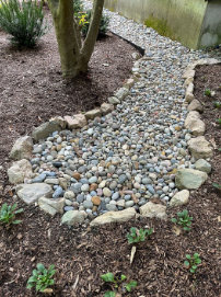 varied ecological functions